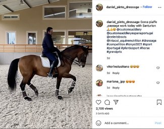 Portuguese team rider Daniel Pinto showcasing a video clip on social media of his top GP horse Santurion de Massa being trained at home. Pinto was one of the protagonists leading the pro-choice debate helmet/top hat last year.