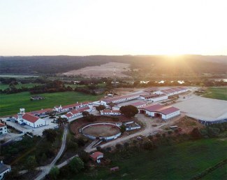 Horse Campline in Ota in sunny Portugal