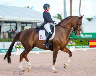 Brittany Fraser-Beaulieu and All In at the 2021 CDI-W Wellington :: Photo © Sue Stickle