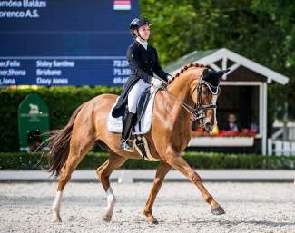 Florenco AS competing at the 2020 CDI Mariakalnok :: Photo © Lukasz Kowalski