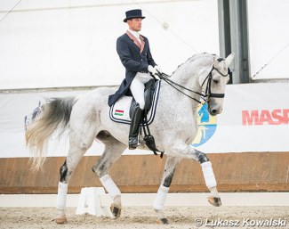 Hungarian Csaba Szokola on Enying at the 2020 CDI-W Zakrzow :: Photo © Lukasz Kowalski