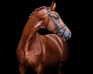 Shu Fu :: Photo © Lovely Moments