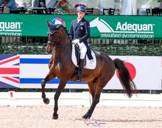 Ben Ebeling and the BWP bred Illuster van de Kampert at the 2021 CDI Wellington :: Photo © Sue Stickle