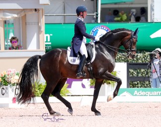 Sabine Schut-Kery and Sance at the 2021 CDIO Wellington :: Photo © Sue Stickle