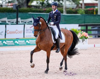 Nick Wagman and Don John at the 2021 Palm Beach Dressage Derby CDI-W :: Photo © Sue Stickle