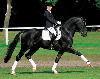 Andrea Müller-Kersten and Harvard in 2001 :: Photo courtesy Pangaea Farms