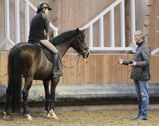 Ekkehard Rönnefarth teaching a clinic in Switzerland :: Photo © sesa-horses.ch