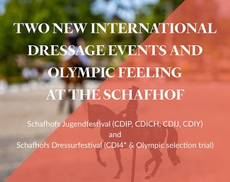 Two CDI's at the gorgeous Gestüt Schaf in the summer of 2021: Schafhof's Youth Festival and Schafhof'ss Dressage Festival