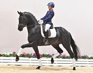 Splendid (by San Amour x Dream Boy) :: Photo © Feldhaus