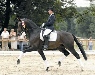 Anja Engelbart and Daddy Cool in 2006 :: Photo © Schockemöhle