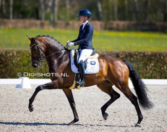 Kirsten Brouwer and Lennoxwaard at the first Dutch WCYH selection trial :: Photo © Digishots