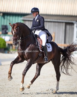 Ellen Birgitte Farbrot on Red Rebel at the 2021 CDI Grote Brogel :: Photo © Astrid Appels