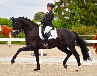 Lisa Horler and Define Dynamic at the 2021 Bundeschampionate qualifier in Illertissen :: Photo © Fotoagentur Dill
