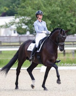 Dutch Dinja van Liere aboard Iron Spring Farm (USA)'s German stallion Lowlands at the first German WCYH selection trial :: Photo © Astrid Appels
