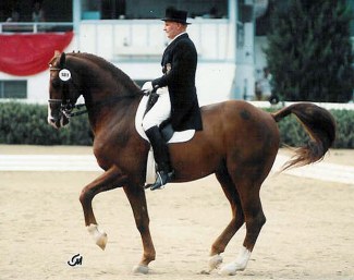 Eicke von Veltheim competing Grundstein at Dressage at Devon :: Photo © Terri Miller