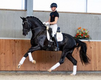 Join professional riders such as Dirk-Jan van de Water (pictured here) at Sport Pro Horses