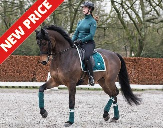 Charlotte van Ingelgem on Hero VDT (by Conteur x Wynton x Calypso) :: Photo © Helene Massa