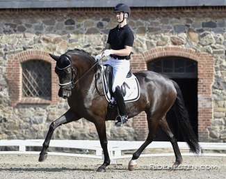 Dennis Kjaer on Polka Fascination M (by Furstenball x Sandro Hit) at the 2021 Danish WCYH selection trial in Vilhelmsborg :: Photo © Ridehesten