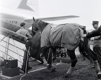 Swiss jumper Frank Lombard loads his horse Page onto the plane in Zurich for the flight to Tokyo :: Photo © Swiss Air Archive