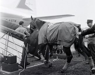 Swiss jumper Frank Lombard loads his horse Page onto the plane in Zurich for the flight to Tokyo :: Photo © Swiss Air Archive