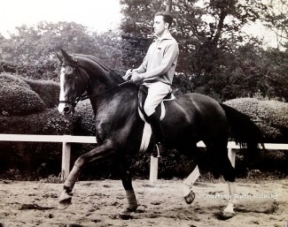 Reiner Klimke schooling Dux at the 1964 Tokyo Olympics :: Photo Dux being trained at Tokyo Photo: Ruth Klimke private archive, reproduced with friendly permission from Ruth Klimke