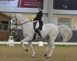 Libertino (by Lancer III x Cornet Obolensky)