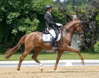 Riccardo Sanavio and Scuderia 1918's Westfalian mare Venere at the 2021 CDI Achleiten :: Photo © Petra Kerschbaum