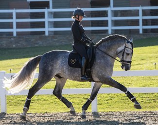 US Olympian Sabine Schut-Kery and Tornado de Centurion :: Photo © Terri Miller