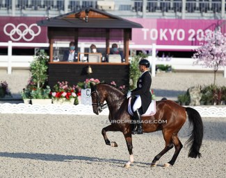 The Baji Koen equestrian park is the venue for the 2021 Olympics and Paralympics :: Photo © Astrid Appels