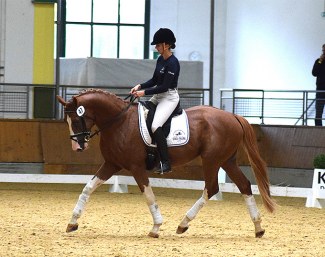 Lilienthal (by Lücke x Rheinklang) in Stadl Paura :: Photo © Pferdezentrum/Brandstetter