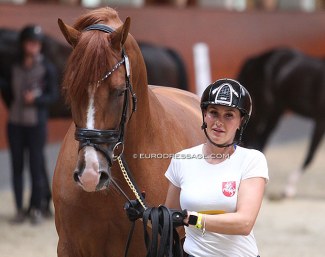 Urte Balciunaite and Valverdi (OLD, by Vivaldi x Furst Romancier at the horse inspection for the 2021 World Young Horse Championships :: Photo © Astrid Appels