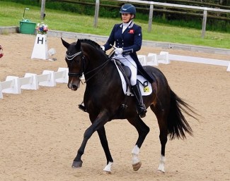 Bon Bon (by Bon Bravour x Sir Donnerhall x Rubinstein)