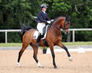 Sir Soleil - Grand Prix horse by Sir Rubin x Paradiesvogel