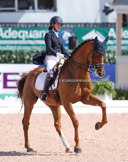 Katlynn Flett and Zen at the 2020 CDI Wellington :: Photo © Astrid Appels