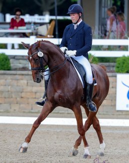 Venivici at the 2021 U.S. Dressage Championships :: Photos © Sue Stickle
