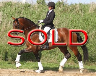 SOLD TO GERMANY through this advertisement !