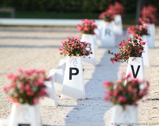 Dressage Arena letters can be hard to read for dyslexic riders :: Photo © Astrid Appels