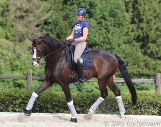 Andrea Lahmeyer, para dressage rider and renowned dressage breeder. Here on Quinsam L riding Always back to front. Quinsam L gained brilliance through his classical training :: Photo © Silke Rottermann