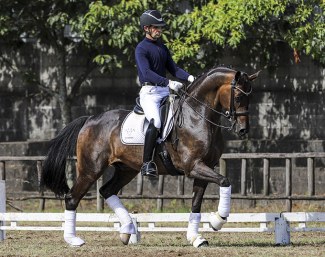 Figo Plus (by Furst Romancier x Hohenstein) :: Photos © Andre Fonte