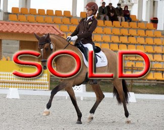 FS Daddy's Sunshine at the 2020 CDI Alter do Chao