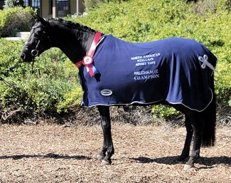 Influencer (by Ibiza x De Niro) win the 2021 North American Stallion Sport Test on the West Coast :: Photo © NASST