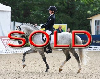 SOLD SOLD SOLD