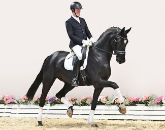 Summerville (by Sezuan x Diamond Hit x Florencio) :: Photo © feldhaus