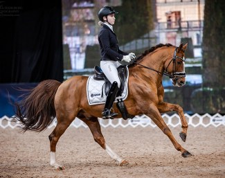 Inspi(red) Justice RP competing at the Stockholm International Horse Show :: Photo © Rosita Dahlberg