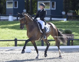 Rikke Dupont on Hayden B at the Danish Young Horse Championship qualifier in the summer of 2018 :: Photo © Ridehesten