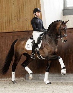 Severo Jurado Lopez and Blue Hors Zackerey :: Photo © Blue Hors