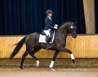 Emma Amtrup on Nashville Star at the start of the 2021-2022 KWPN Winter Stallion Performance Testing :: Photo © Digishots
