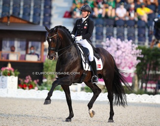 Blue Hors Zack competing at the 2021 Olympic Games in Tokyo :: Photo © Astrid Appels