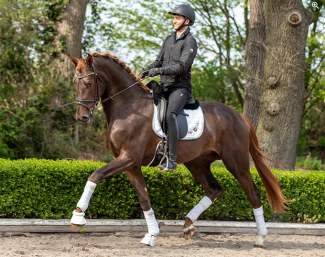 San To Alati (by Secret x Belissimo M x Florencio) :: Photo courtesy Krusterhof