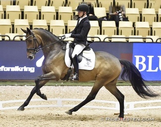 Allan Grøn and Søbakkehus Maude at the 2022 Danish Warmblood Championship 5-year olds :: Photo © Ridehesten.com